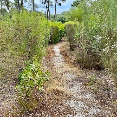 With A Big Idyllic Garden At The Lacanau